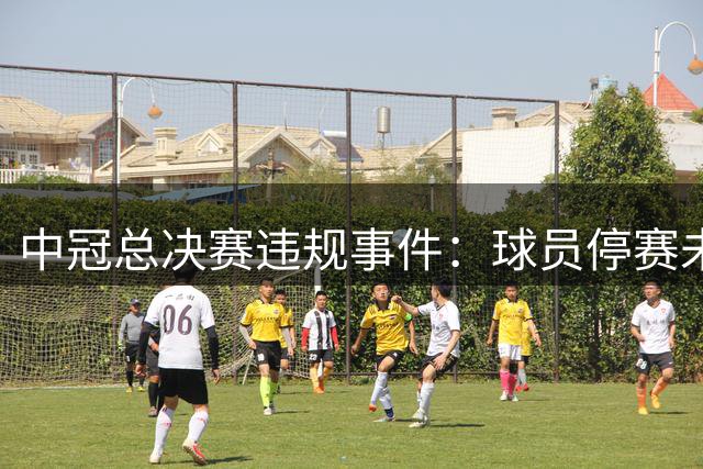中冠总决赛违规事件：球员停赛未执行致比赛结果被取消